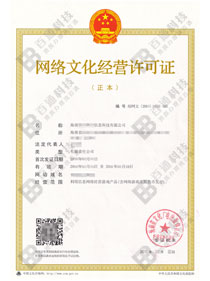 游戏网文-海南某某信息科技有限公司-网络文化经营许可证成功案例
