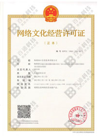 动漫网文-海南某某信息技术有限公司-网络文化经营许可证成功案例
